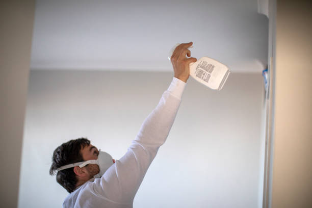 Best Preventive Mold Services in Hidden Valley Lake, CA